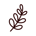 icône pour l'aspect écologique de mon travail