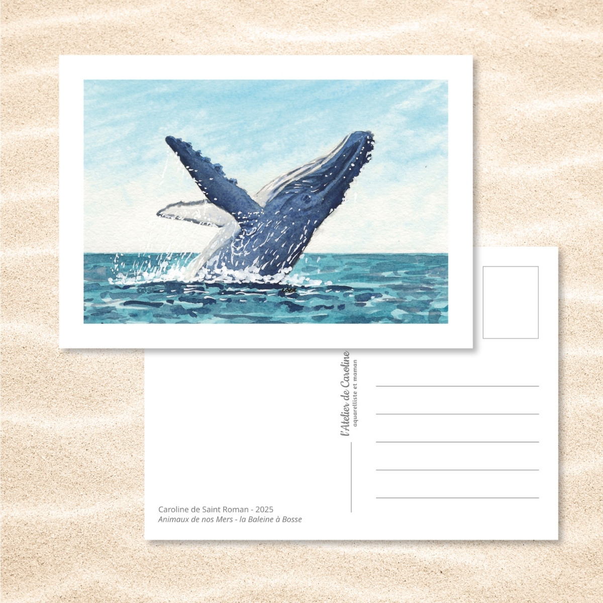 Carte Postale "Animaux de nos Mers" – Papeterie enfant & océan – Image 3