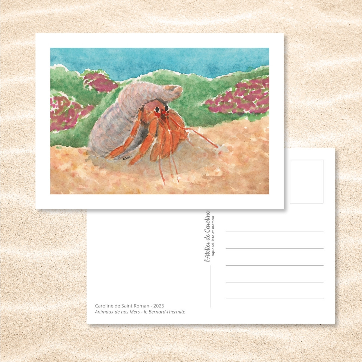 Carte Postale "Animaux de nos Mers" – Papeterie enfant & océan – Image 4