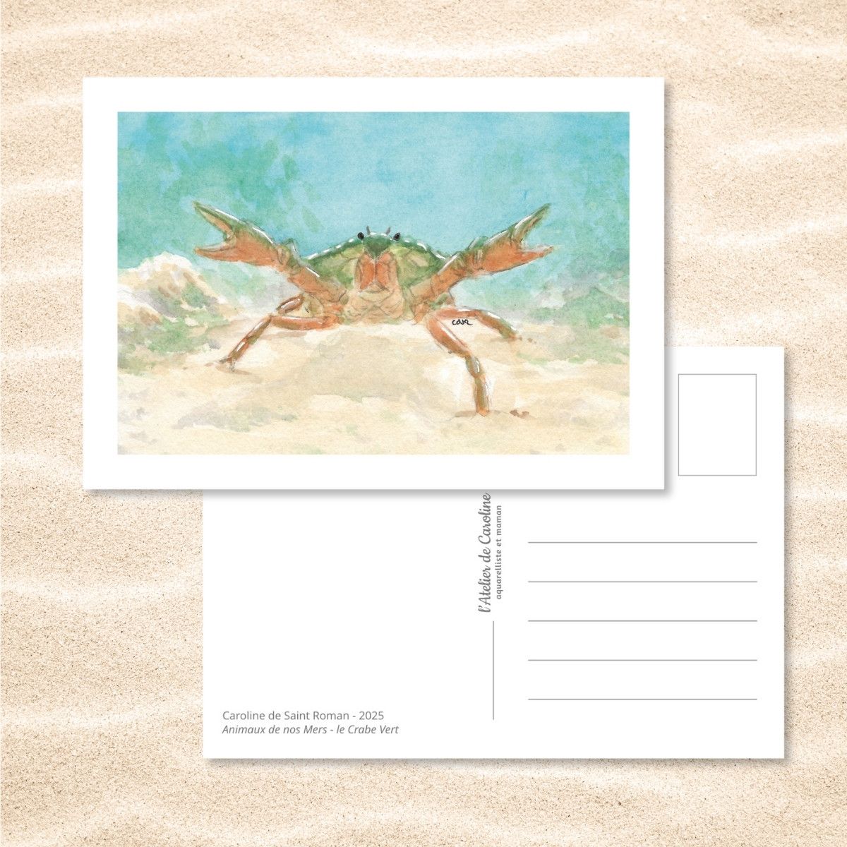 Carte Postale "Animaux de nos Mers" – Papeterie enfant & océan – Image 5