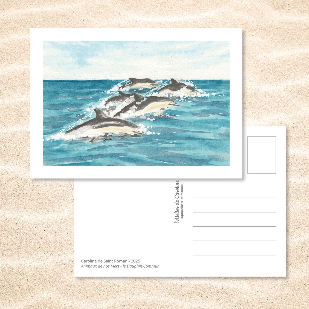 Carte Postale "Animaux de nos Mers" – Papeterie enfant & océan – Image 6
