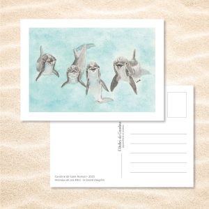 Carte Postale "Animaux de nos Mers" – Papeterie enfant & océan - Grand dauphin