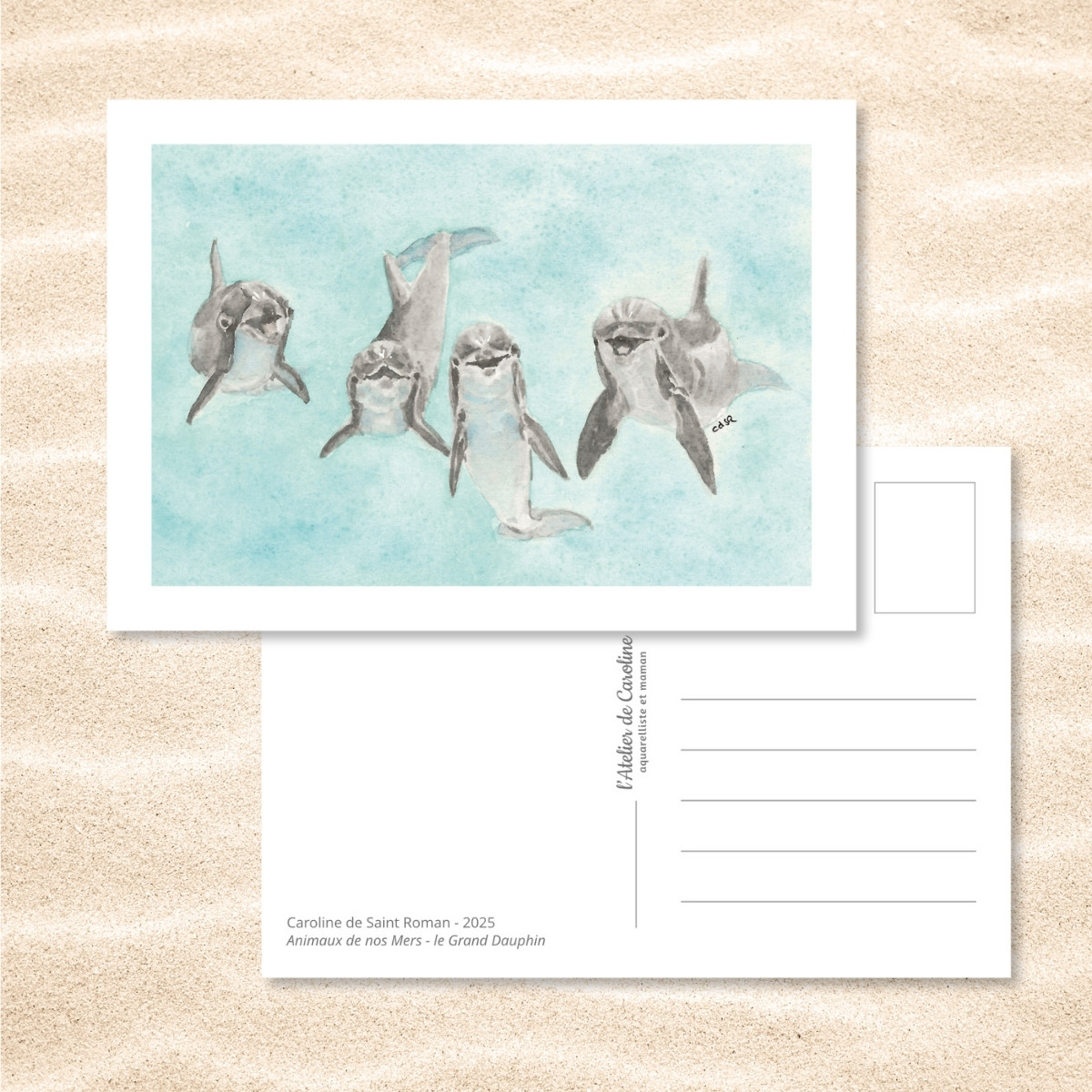 Carte Postale "Animaux de nos Mers" – Papeterie enfant & océan – Image 9