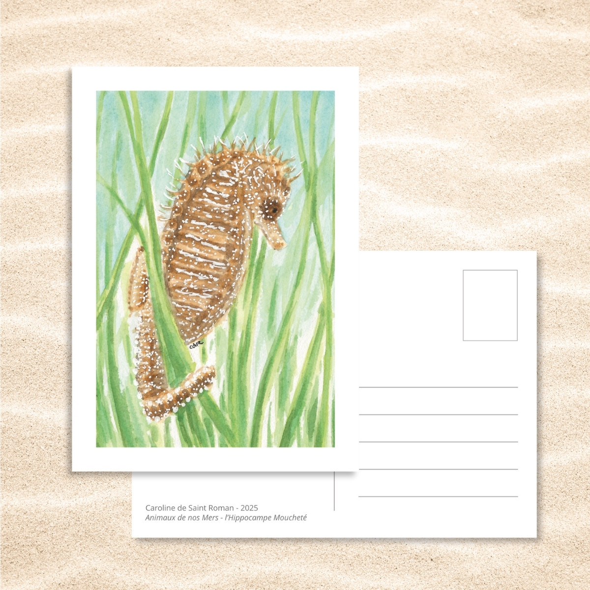 Carte Postale "Animaux de nos Mers" – Papeterie enfant & océan – Image 10