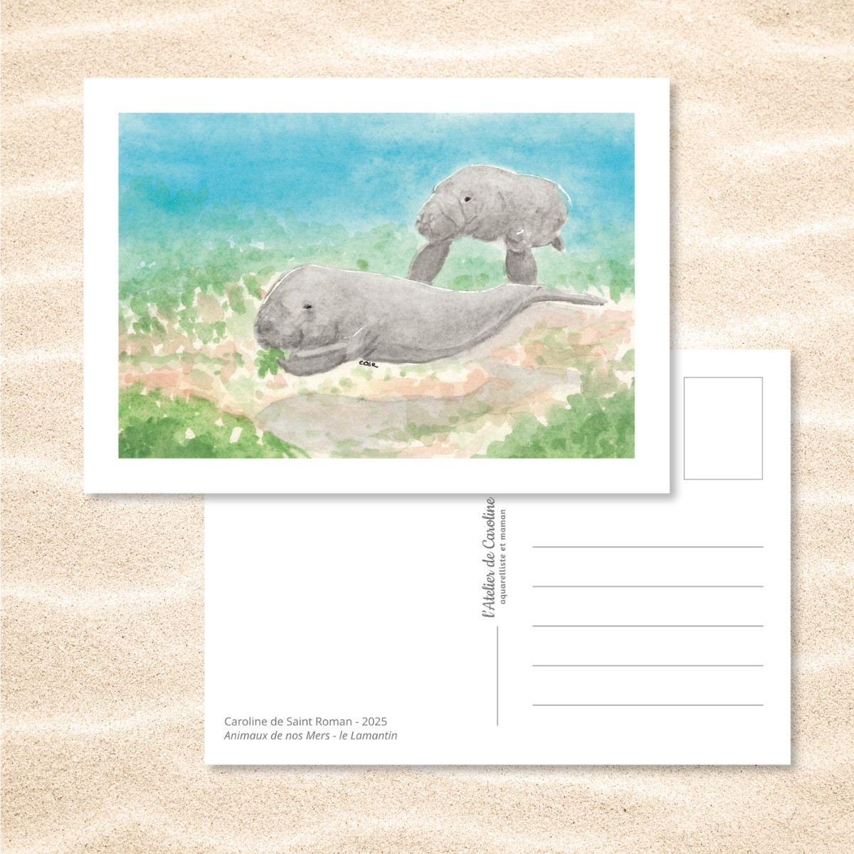 Carte Postale "Animaux de nos Mers" – Papeterie enfant & océan – Image 11