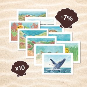 lot de 10 cartes postales animaux marins avec 7% de réduction