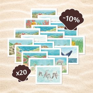 lot de 20 cartes postales animaux marins avec 10% de réduction