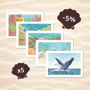 lot de 5 cartes postales animaux marins avec 5% de réduction