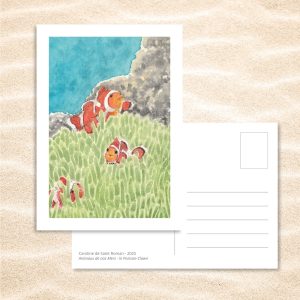 Carte Postale "Animaux de nos Mers" – Papeterie enfant & océan - Poisson-clown