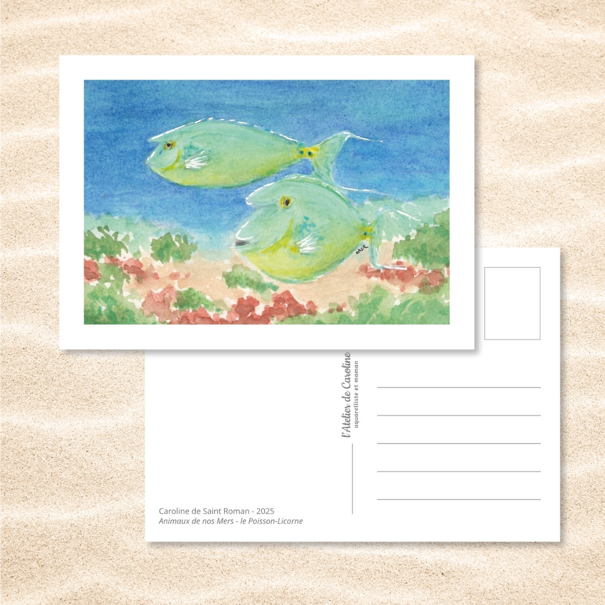 Carte Postale "Animaux de nos Mers" – Papeterie enfant & océan – Image 17