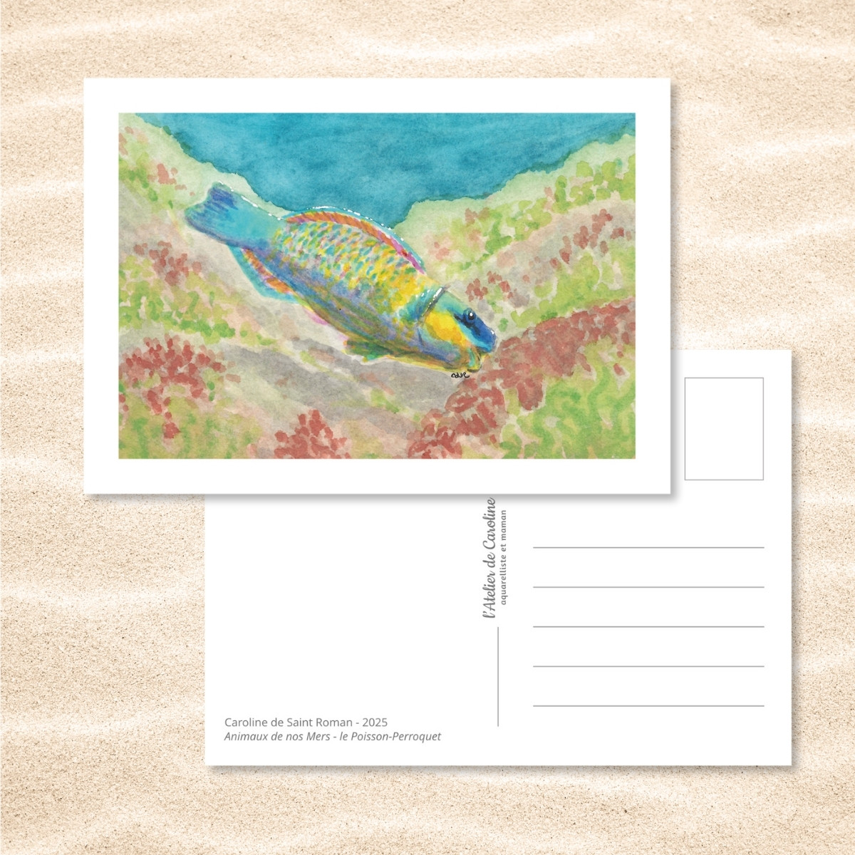 Carte Postale "Animaux de nos Mers" – Papeterie enfant & océan – Image 19