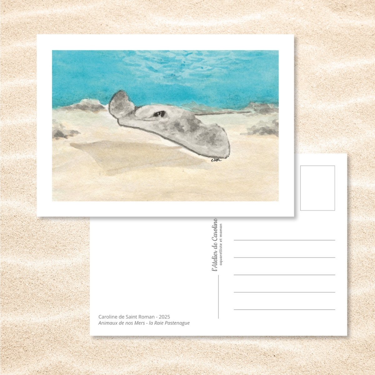 Carte Postale "Animaux de nos Mers" – Papeterie enfant & océan – Image 20