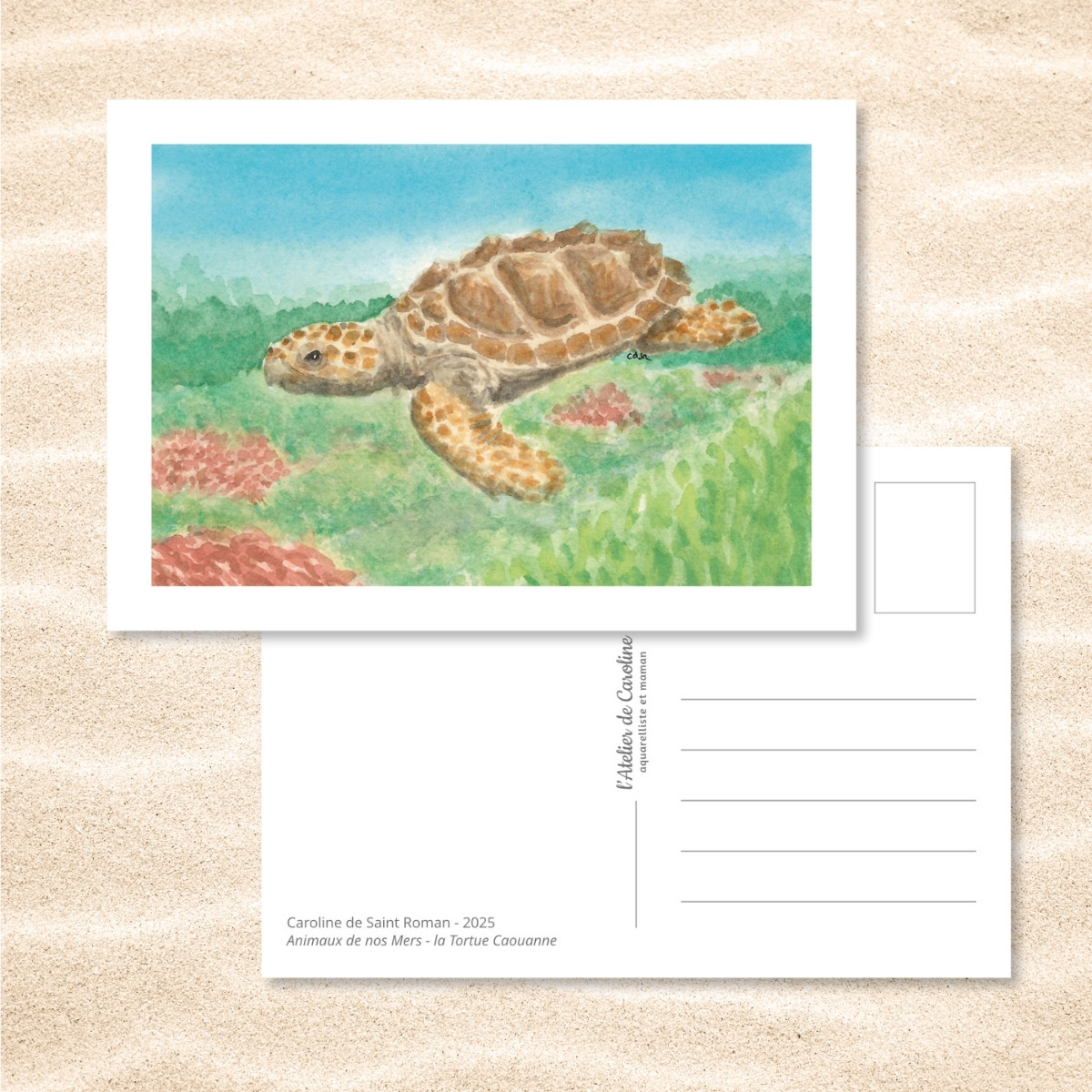 Carte Postale "Animaux de nos Mers" – Papeterie enfant & océan – Image 21