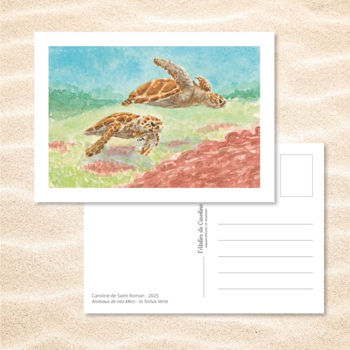 Carte Postale "Animaux de nos Mers" – Papeterie enfant & océan – Image 22