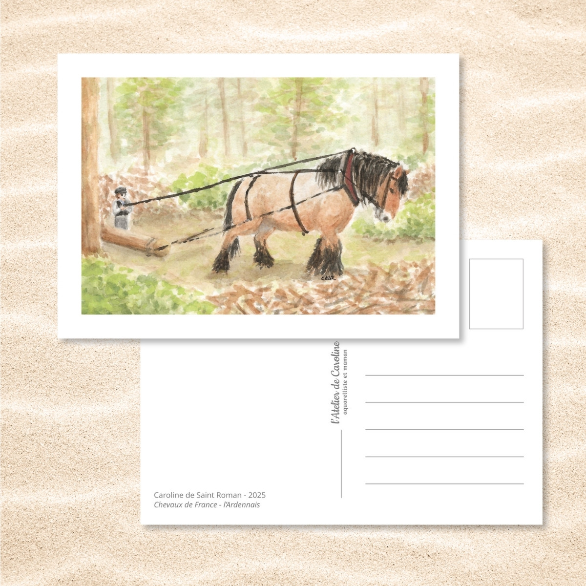 Carte Postale "Chevaux de France" – Papeterie enfant & nature – Image 2