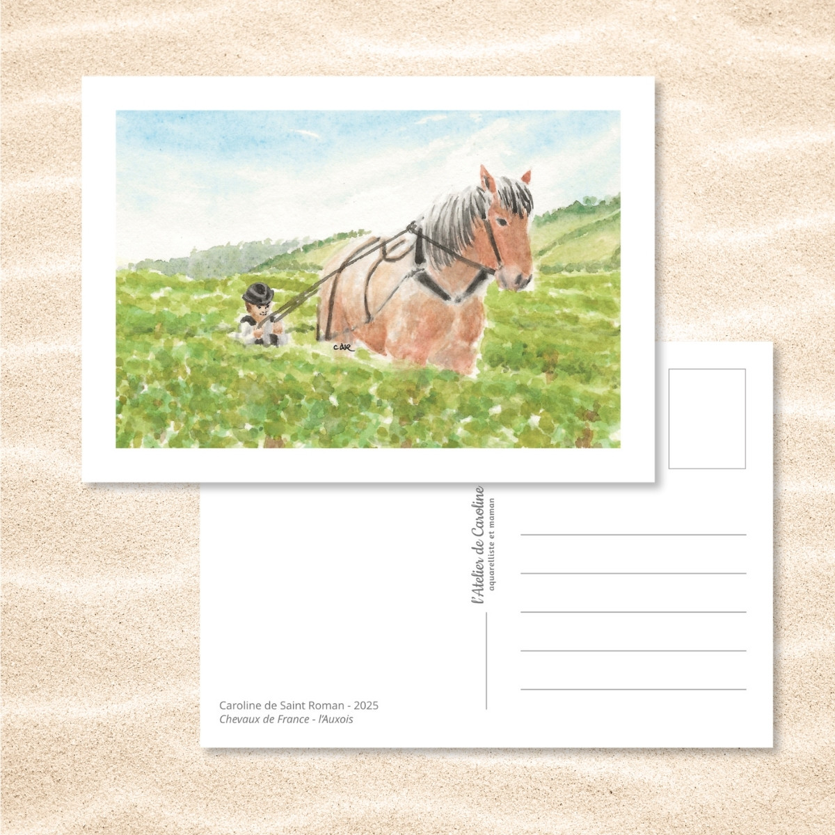 Carte Postale "Chevaux de France" – Papeterie enfant & nature – Image 3