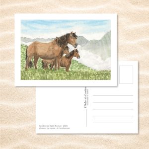 Carte Postale "Chevaux de France" – Papeterie enfant & nature - Castillonnais