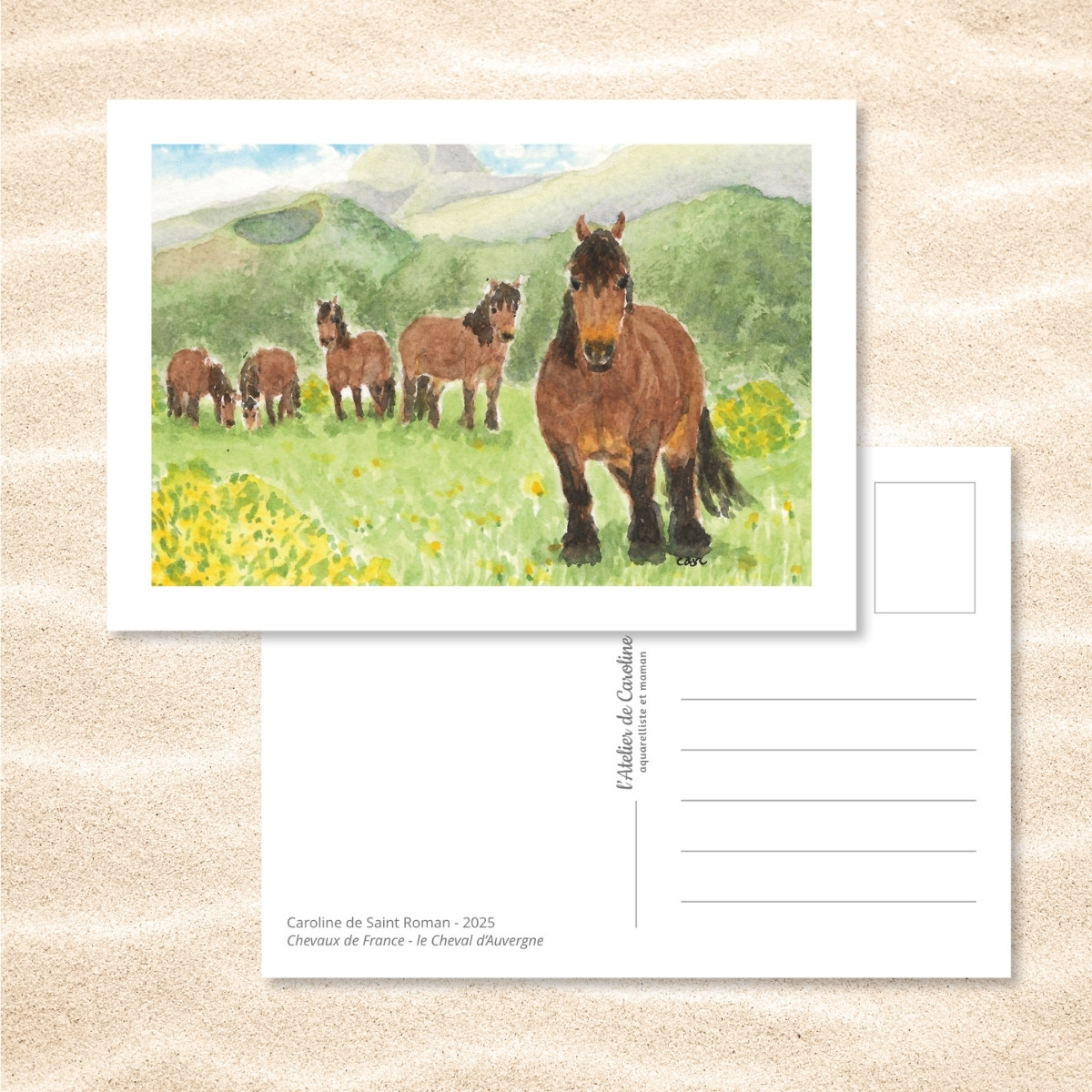Carte Postale "Chevaux de France" – Papeterie enfant & nature – Image 6