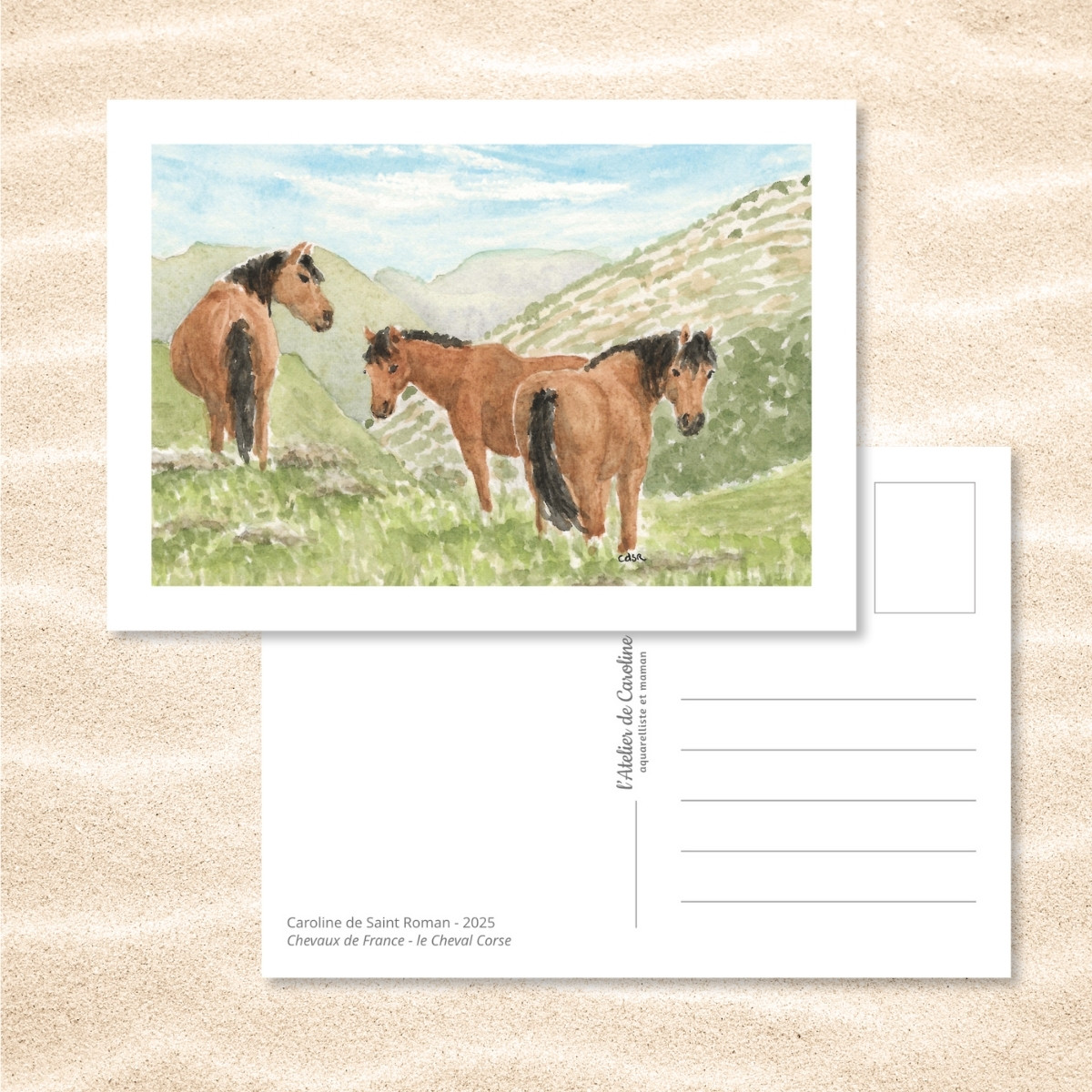 Carte Postale "Chevaux de France" – Papeterie enfant & nature – Image 7