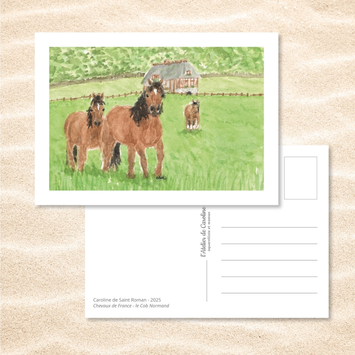 Carte Postale "Chevaux de France" – Papeterie enfant & nature – Image 8