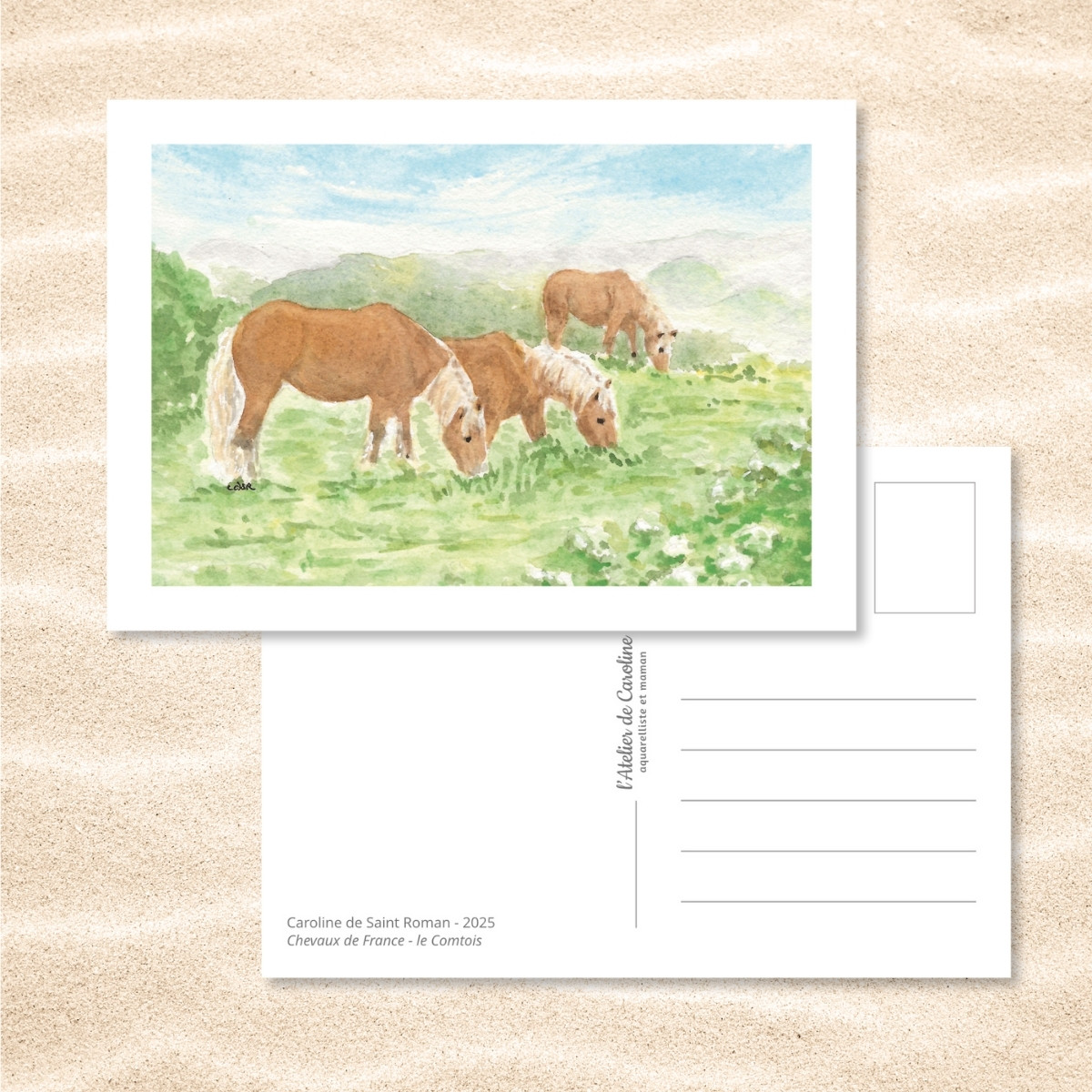 Carte Postale "Chevaux de France" – Papeterie enfant & nature – Image 9