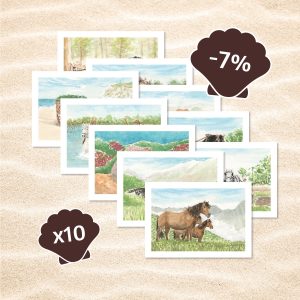 lot de 10 cartes postales chevaux avec 7% de réduction