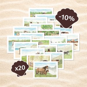 lot de 20 cartes postales chevaux avec 10% de réduction