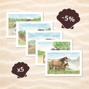 lot de 5 cartes postales chevaux avec 5% de réduction