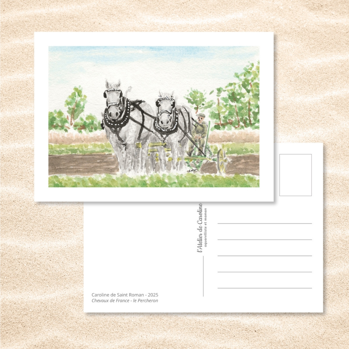 Carte Postale "Chevaux de France" – Papeterie enfant & nature – Image 12