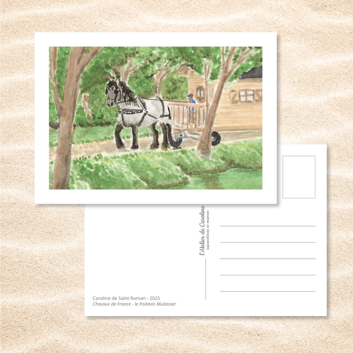 Carte Postale "Chevaux de France" – Papeterie enfant & nature – Image 13