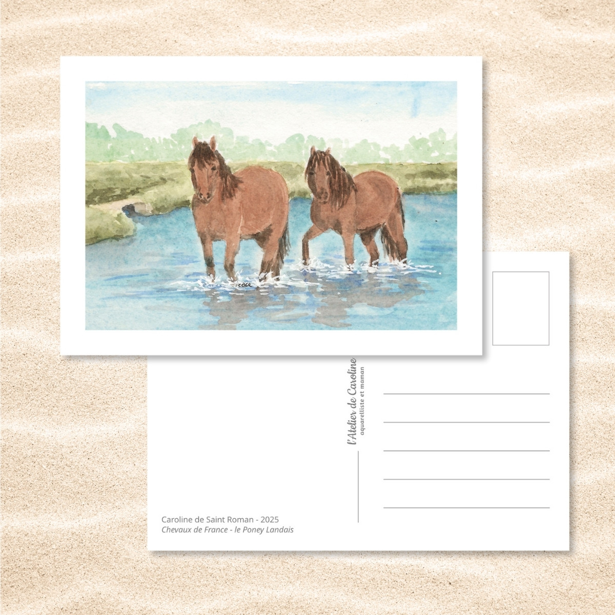 Carte Postale "Chevaux de France" – Papeterie enfant & nature – Image 15
