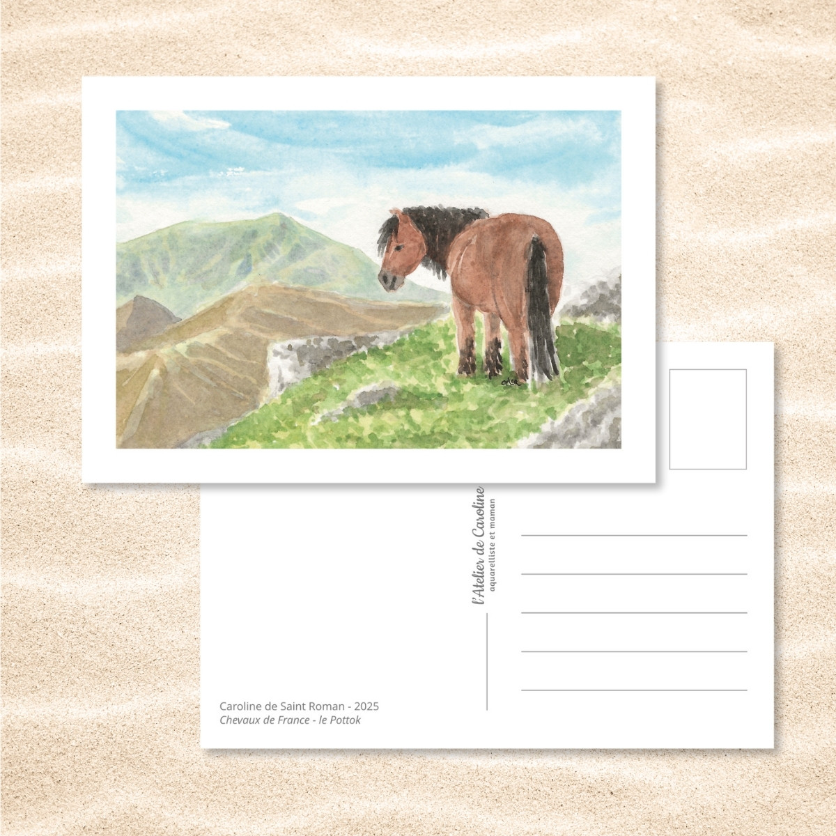 Carte Postale "Chevaux de France" – Papeterie enfant & nature – Image 17