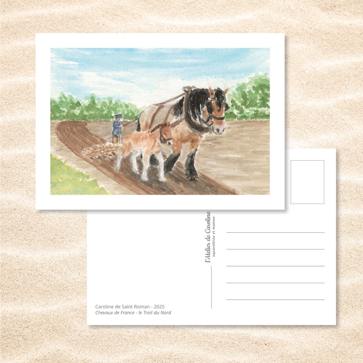 Carte Postale "Chevaux de France" – Papeterie enfant & nature – Image 19