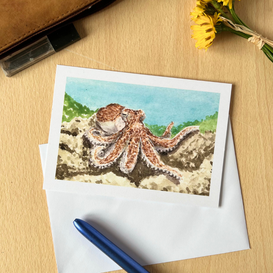 Carte Postale "Animaux de nos Mers" – Papeterie enfant & océan – Image 2