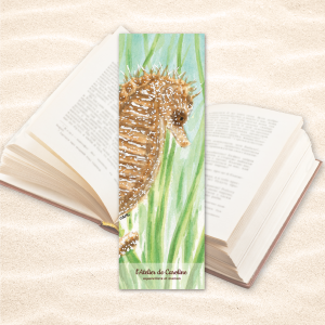 marque-page hippocampe