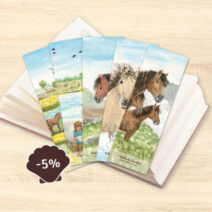 lot de 5 marques-pages sur le thème des chevaux