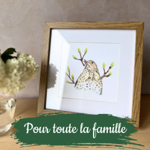 aquarelles et affiches pour toute la famille